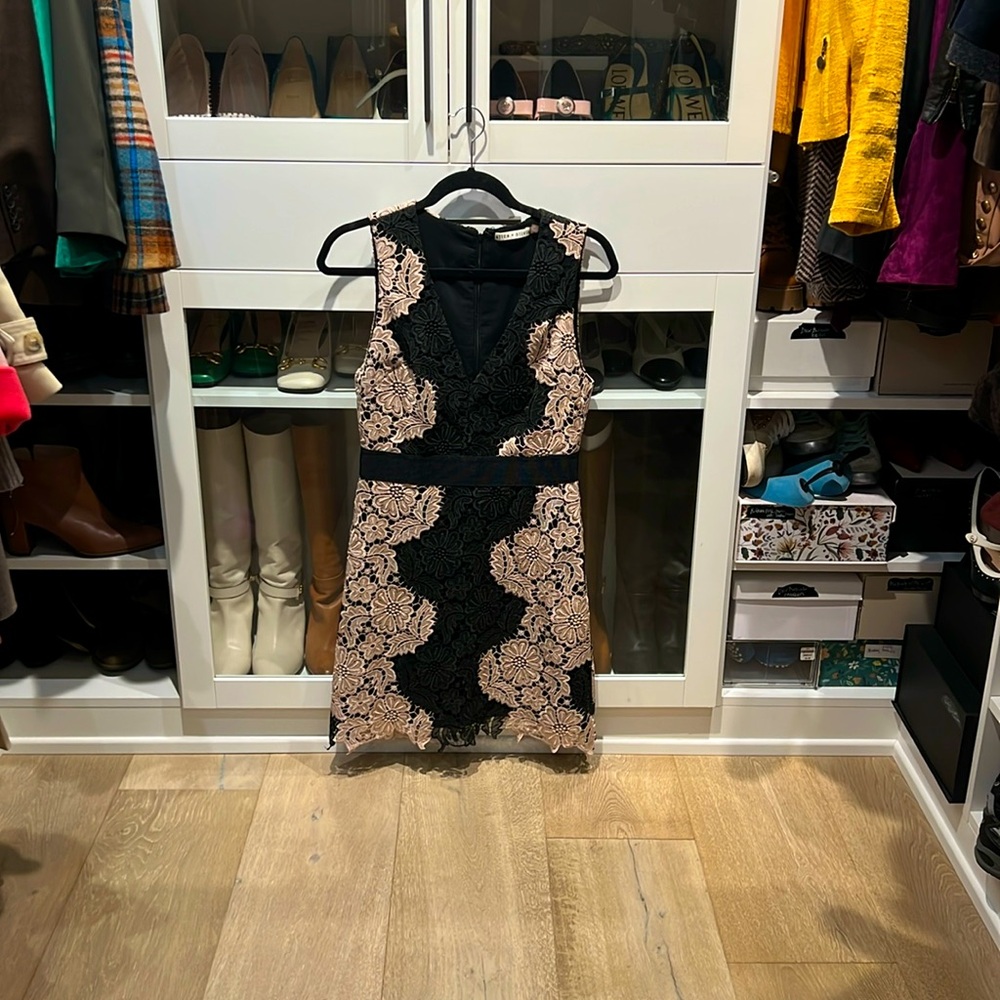 Alice & Olivia Patrice Aline dress size 6 looks great - Picture 2 of 4